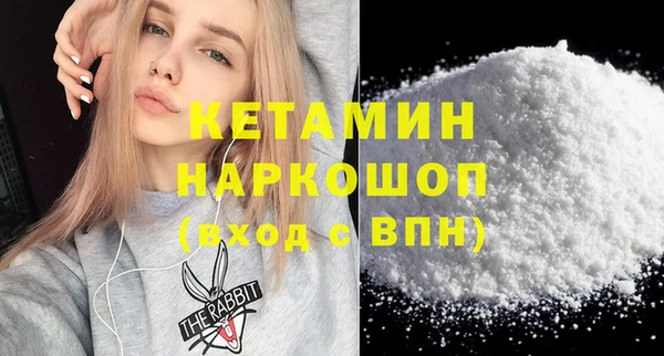 молекула духа Снежногорск