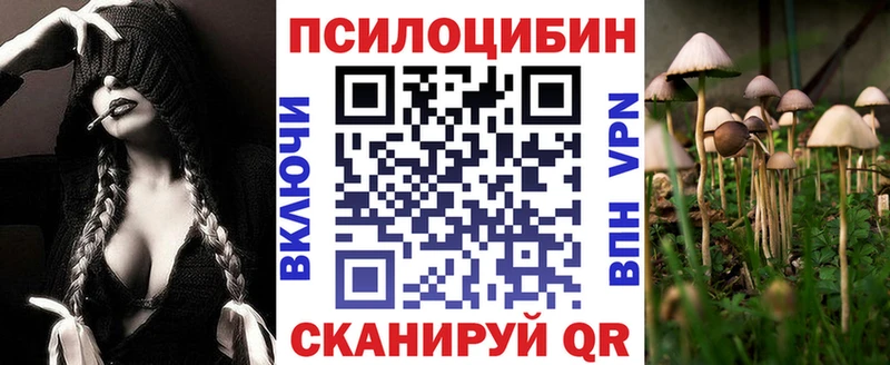 Псилоцибиновые грибы GOLDEN TEACHER Новошахтинск