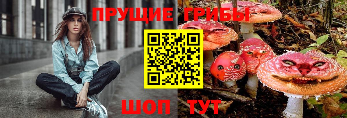 Галлюциногенные грибы ЛСД Новошахтинск