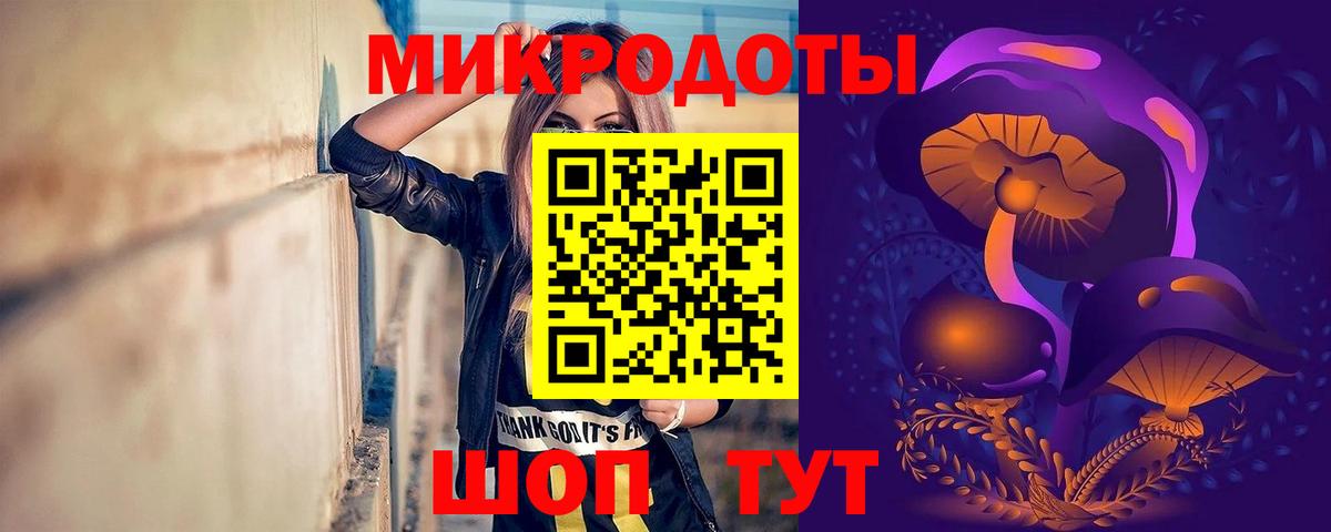 Галлюциногенные грибы Psilocybe Новошахтинск