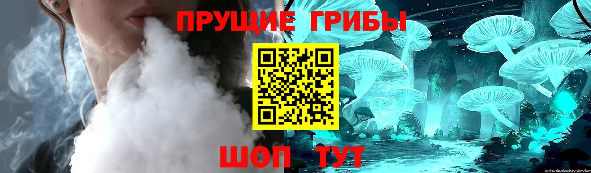 Новошахтинск  Галлюциногенные грибы GOLDEN TEACHER  Вход с VPN 