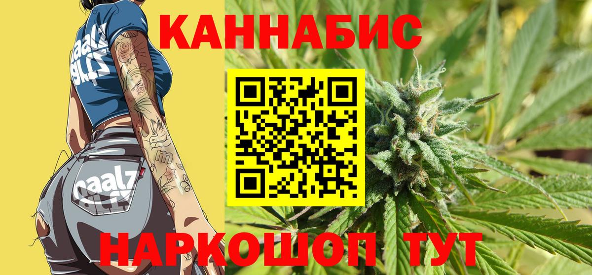 Канабис планчик Новошахтинск